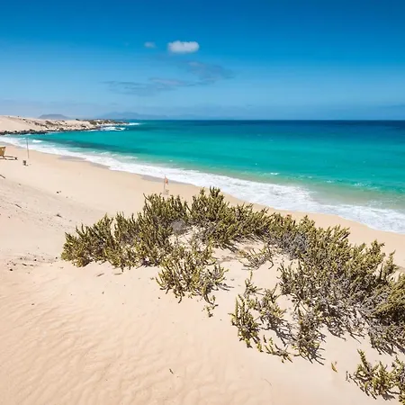 Home2book Serene El Cotillo, Coastal Escape *