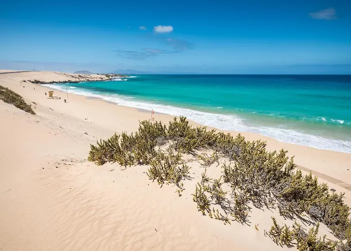 Home2book Serene El Cotillo, Coastal Escape *