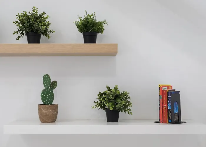 Home2book Serene El Cotillo, Coastal Escape