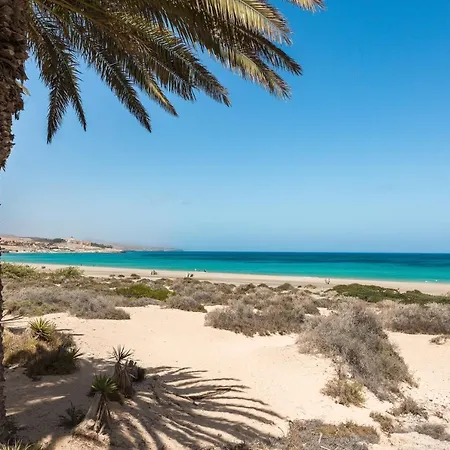 Lejlighed Home2book Charming El & Terrace Cotillo